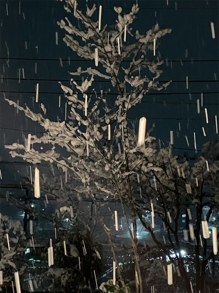 f:id:shiz1:20260103233246j:image