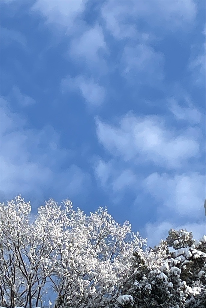 f:id:shiz1:20260211142926j:image f:id:shiz1:20260211142926j:image