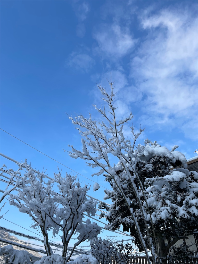 f:id:shiz1:20260212192451j:image f:id:shiz1:20260212192451j:image