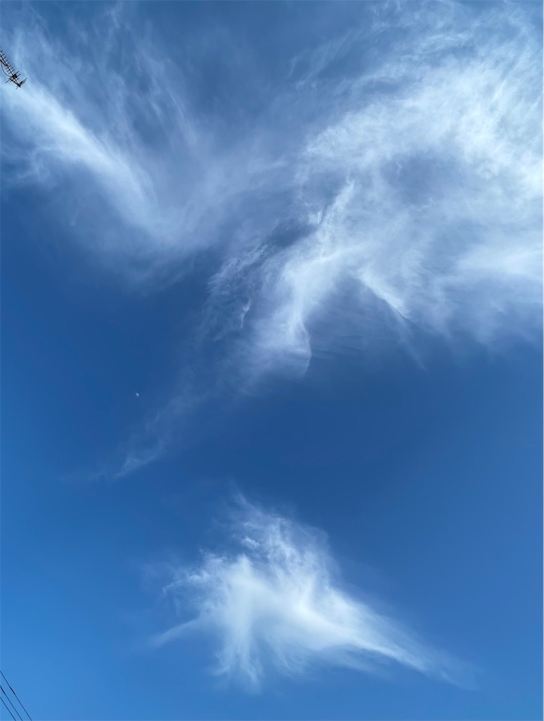 f:id:shiz1:20260616150128j:image f:id:shiz1:20260616150128j:image
