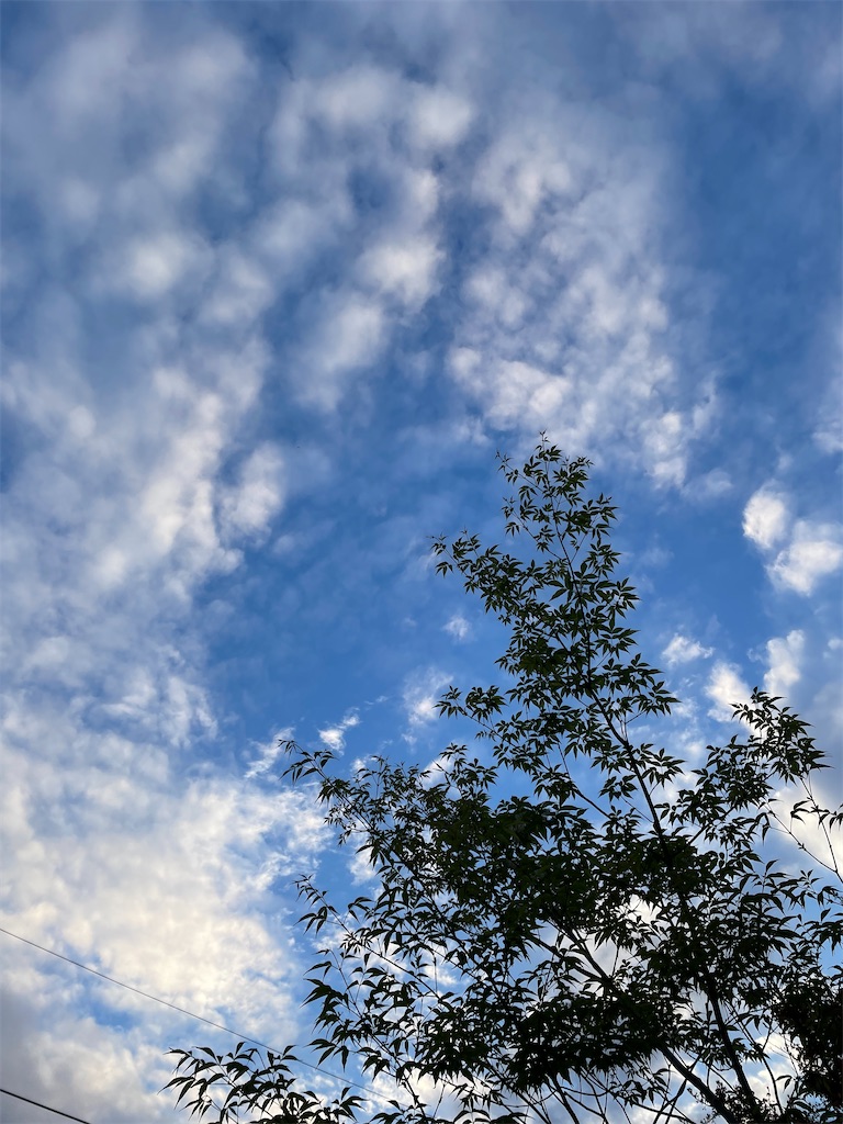 f:id:shiz1:20260616150131j:image f:id:shiz1:20260616150131j:image