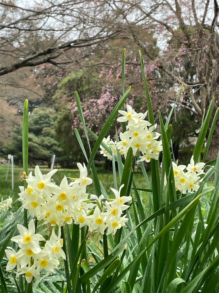 f:id:shiz1:20260620120405j:image f:id:shiz1:20260620120405j:image