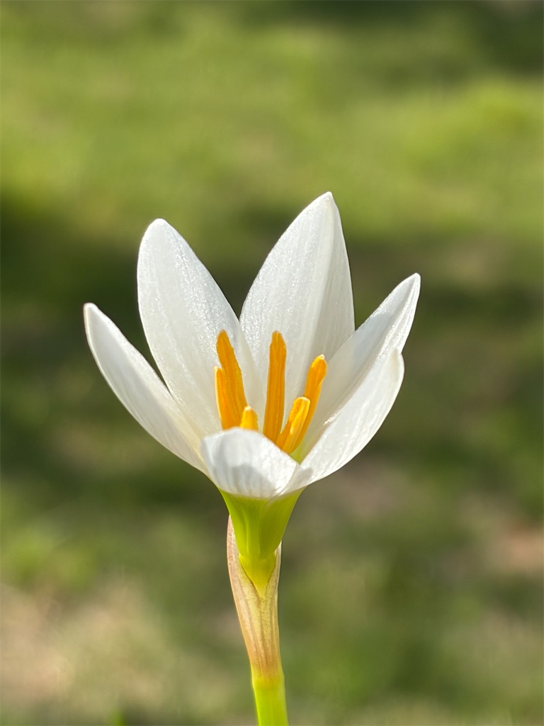 f:id:shiz1:20260912180546j:image