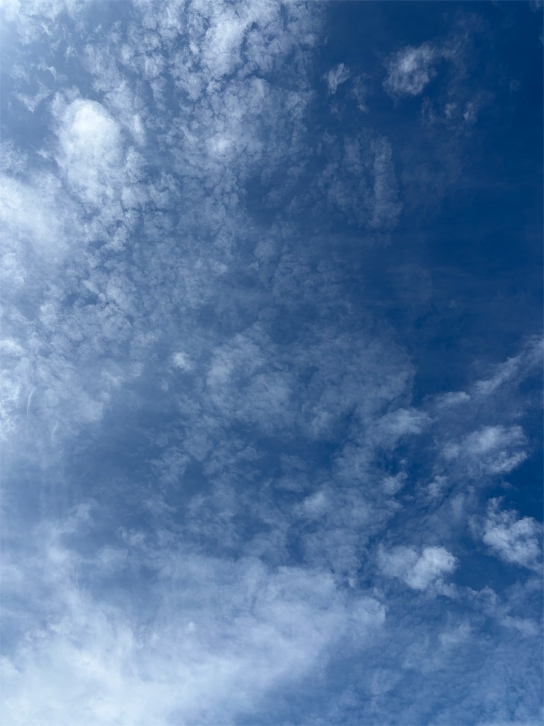 f:id:shiz1:20260913221810j:image