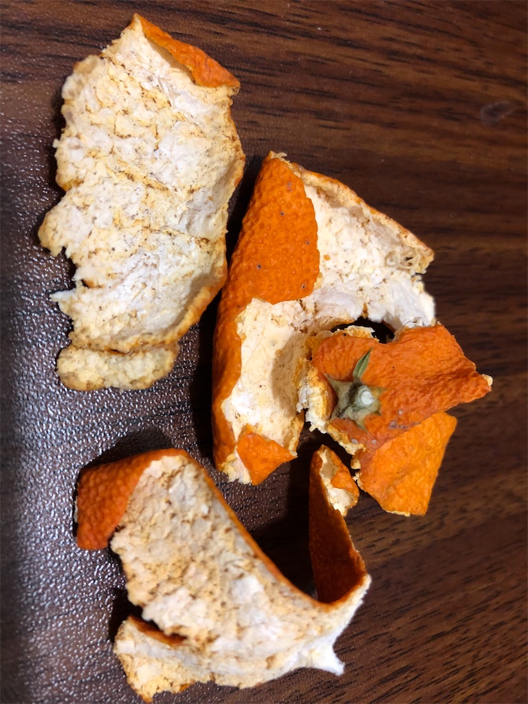 f:id:shizen_tokai:20190115234500j:image