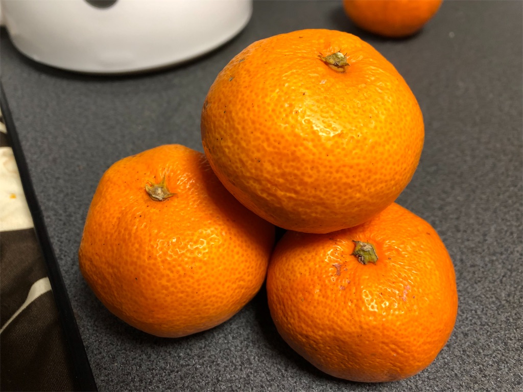 f:id:shizen_tokai:20190115234715j:image