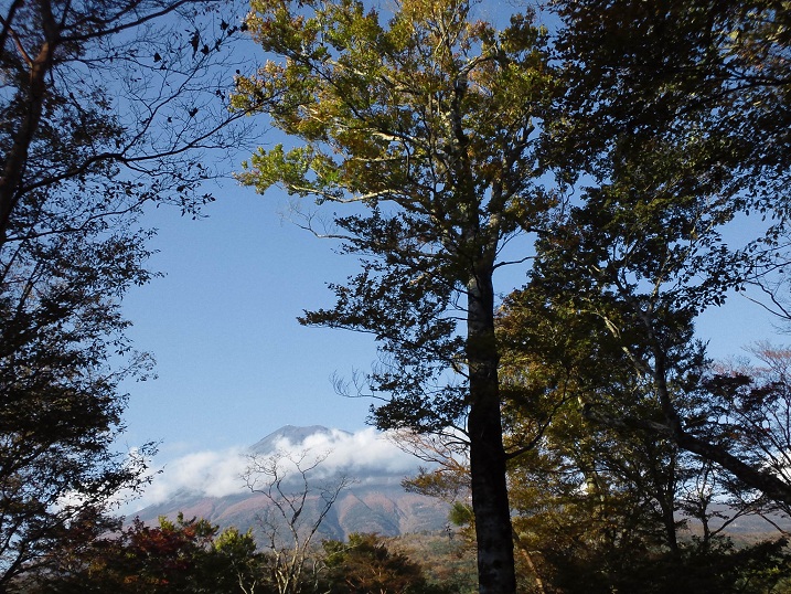 f:id:shizengaku:20111023155430j:image:w360