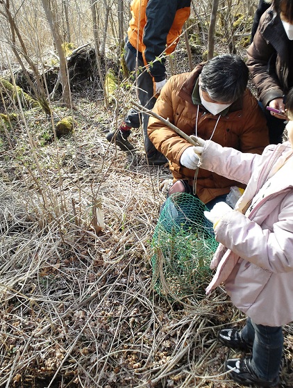 f:id:shizengaku:20120421152956j:image:w200