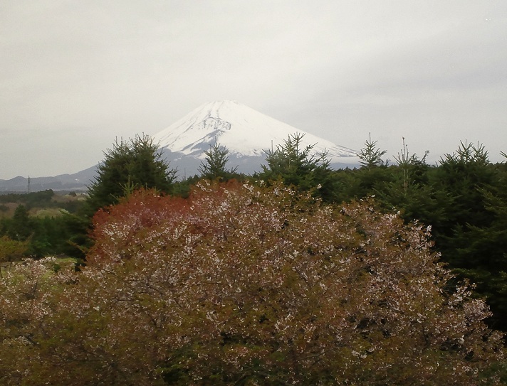 f:id:shizengaku:20120422082853j:image:w360