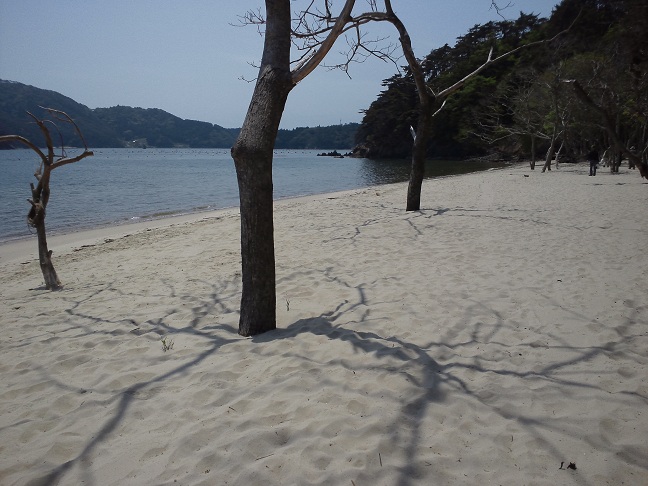 f:id:shizengaku:20120603115649j:image:w300