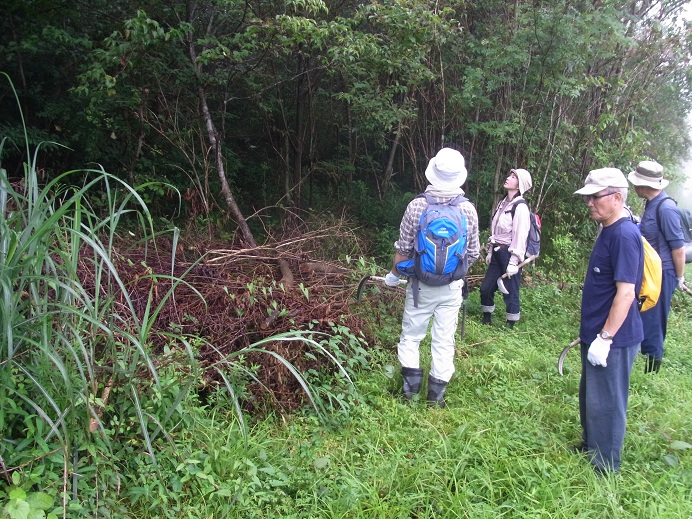 f:id:shizengaku:20120729095330j:image:w360
