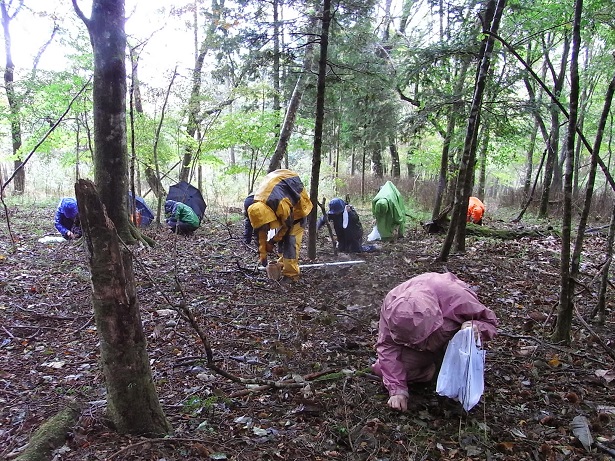 f:id:shizengaku:20131024113259j:image:w400