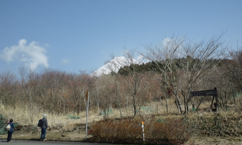 f:id:shizengaku:20150324165652j:plain