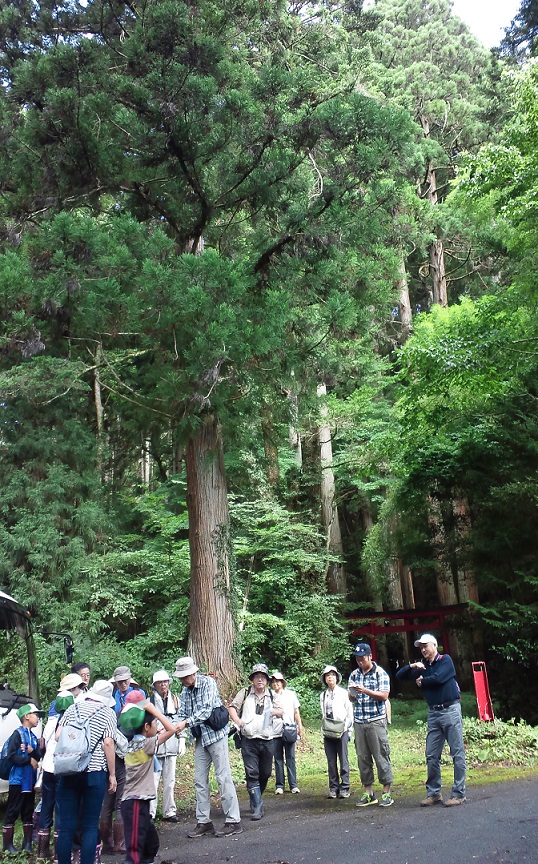 f:id:shizengaku:20160904184938j:image:w200