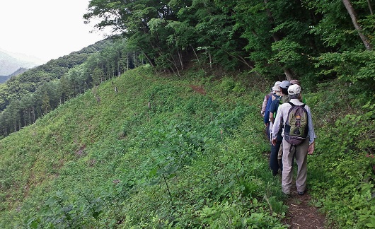 f:id:shizengaku:20180603175829j:image:w360 f:id:shizengaku:20180603175829j:image:w360