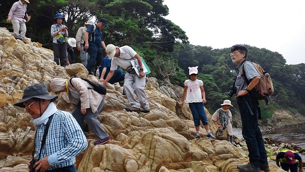 18年7月14日 16日三陸現地講座 石巻 牡鹿半島 雄勝 2 牡鹿半島の観察 山の自然学クラブ 事務局ブログ