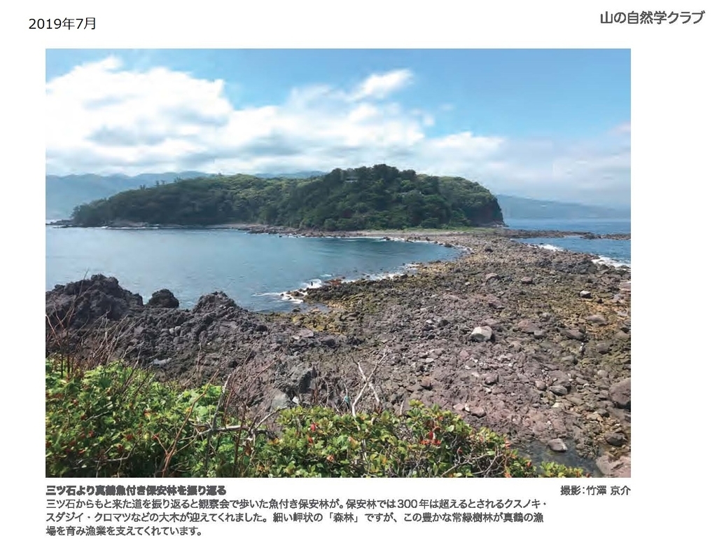 f:id:shizengaku:20190227172018j:plain