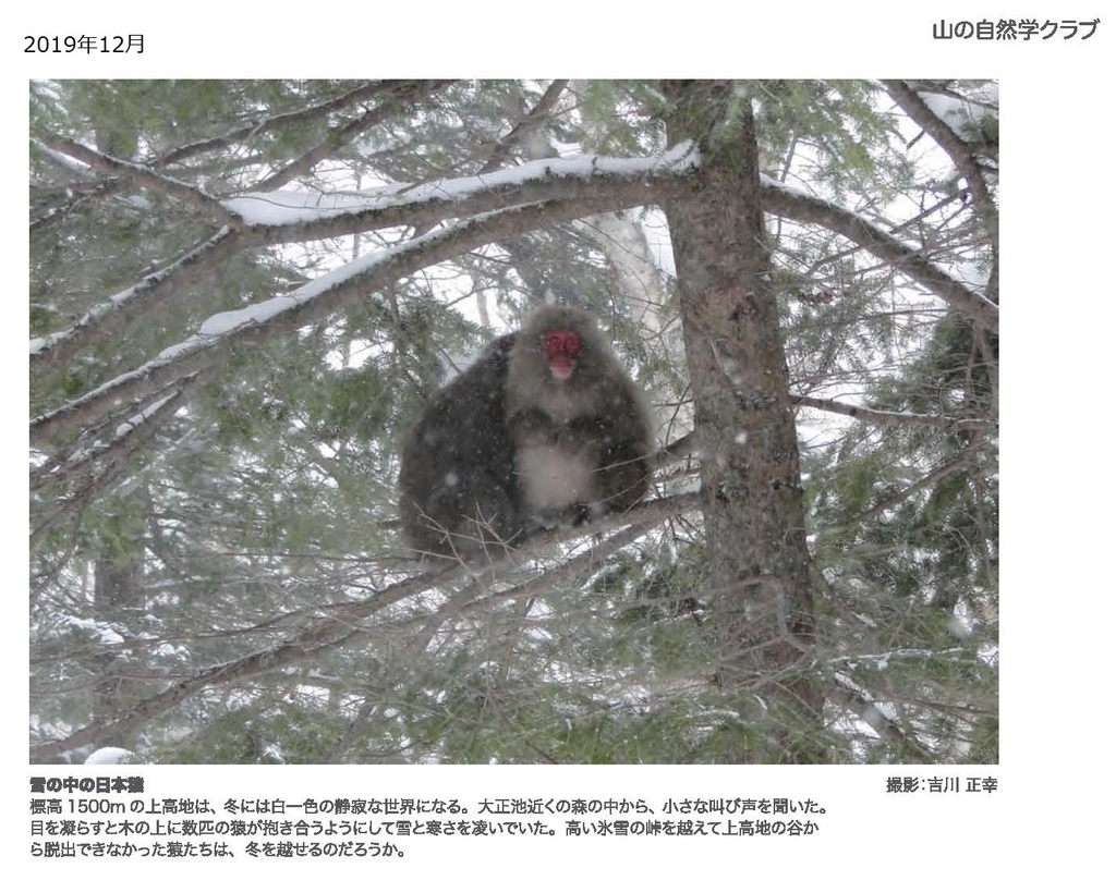 f:id:shizengaku:20190227172127j:plain