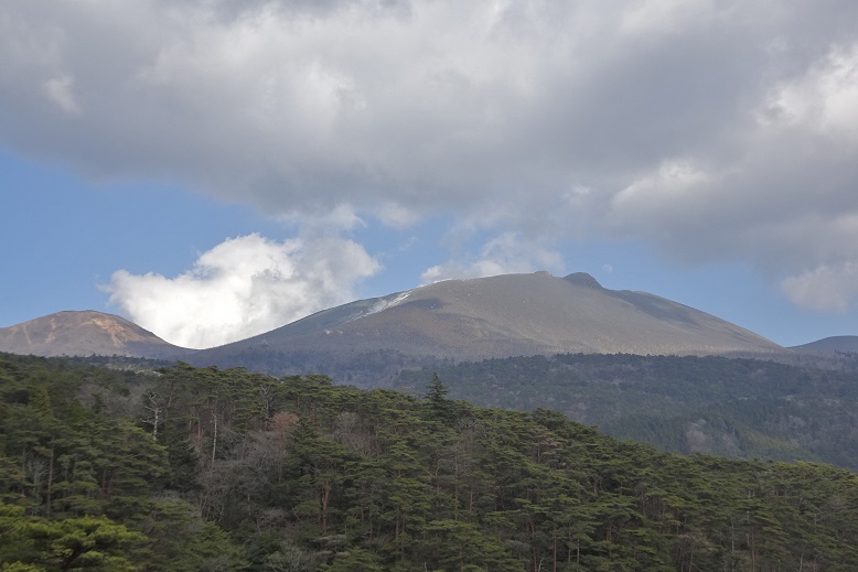 f:id:shizengaku:20190526013628j:plain