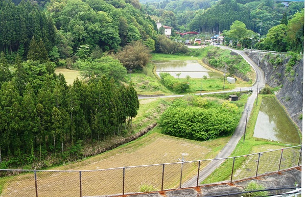 f:id:shizengaku:20190526121412j:image:w300