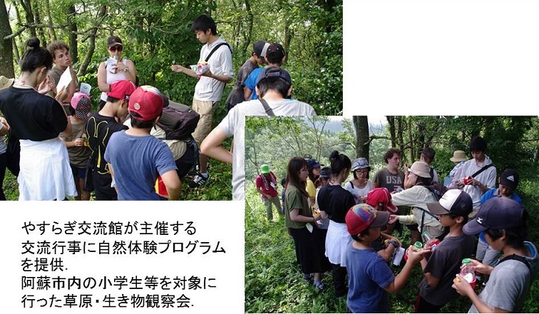 f:id:shizengaku:20190708144442j:plain