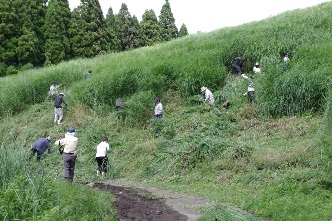 f:id:shizengaku:20190708145116j:plain