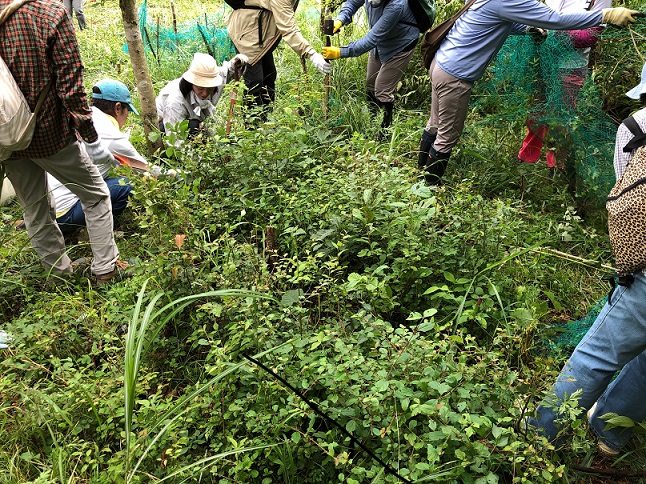 f:id:shizengaku:20190806160212j:image:w300 f:id:shizengaku:20190806160212j:image:w300