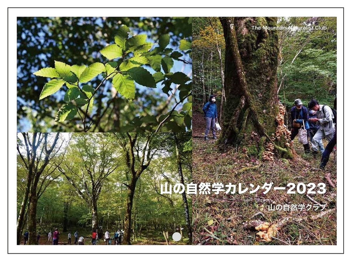 2023年表紙・富士植林地での活動／大森弘一郎・中村華子