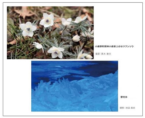 2023年2月／黒木康文・小鹿野町両神小森堂上のセツブンソウ／池田昌史・寄せ氷