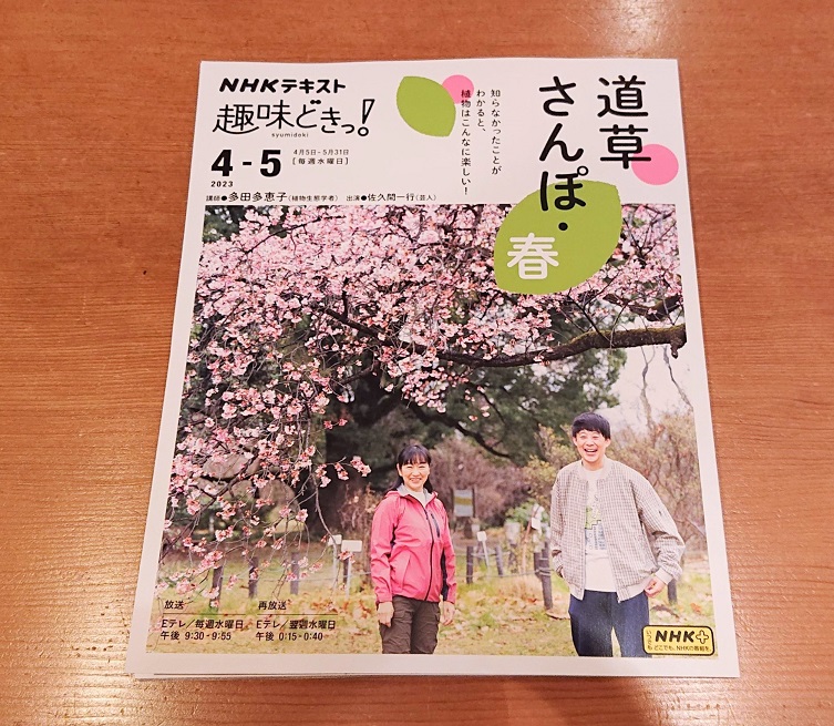 2023年4月・道草さんぽ表紙