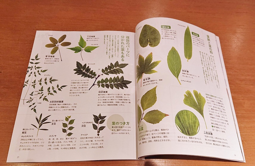 2023年4月・道草さんぽ（部分）