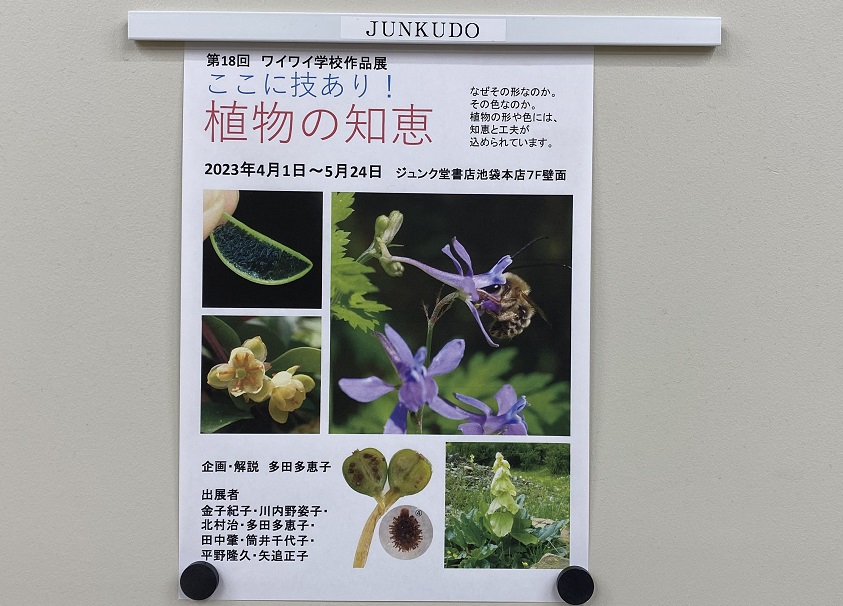ワイワイ学校写真展2023