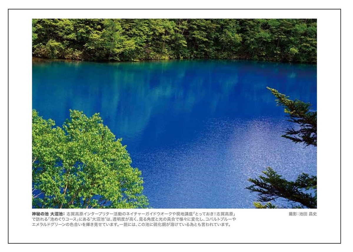 2023年6月／池田昌史・神秘の池　大沼池