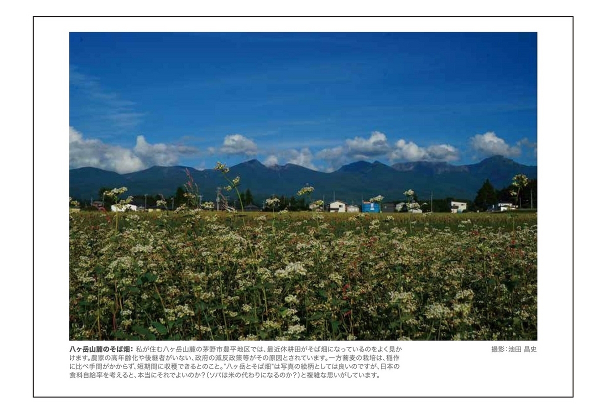 2023年9月／池田昌史・八ヶ岳山麓のそば畑