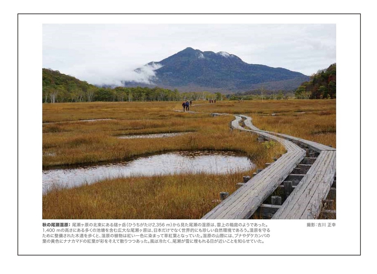 2023年10月／吉川正幸・秋の尾瀬湿原