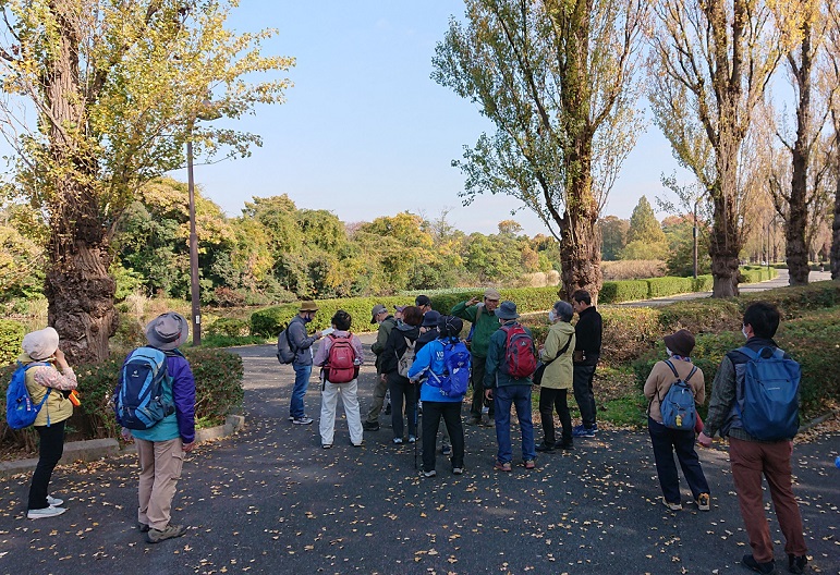 2022年11月現地講座・水元公園　石井誠治さん