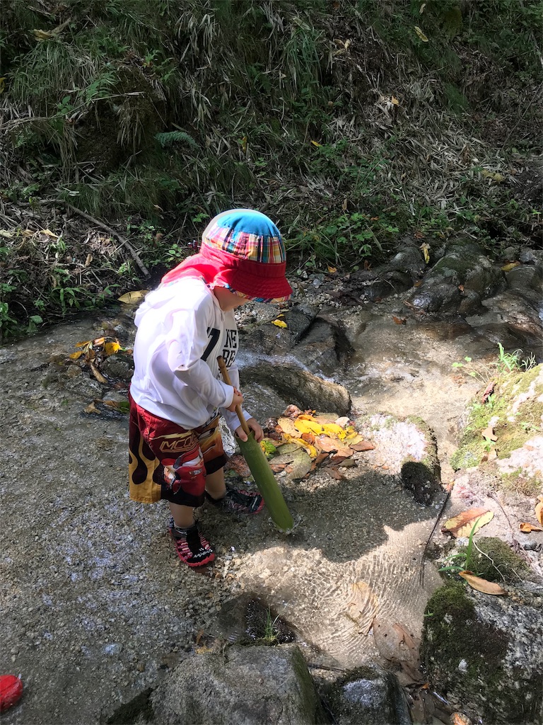 f:id:shizenhoikunoppara:20180902092441j:image