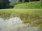 20080515073702
