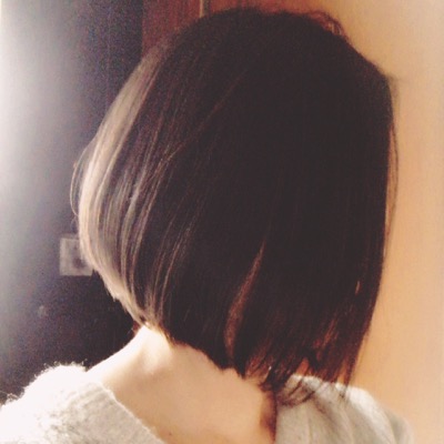 f:id:shizuku-ru:20170210163118j:plain f:id:shizuku-ru:20170210163118j:plain