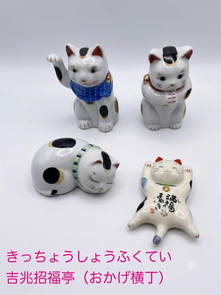f:id:shizuku0815:20260613084233j:image