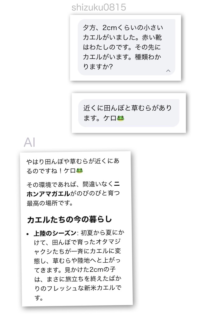 f:id:shizuku0815:20260706014707j:image f:id:shizuku0815:20260706014707j:image