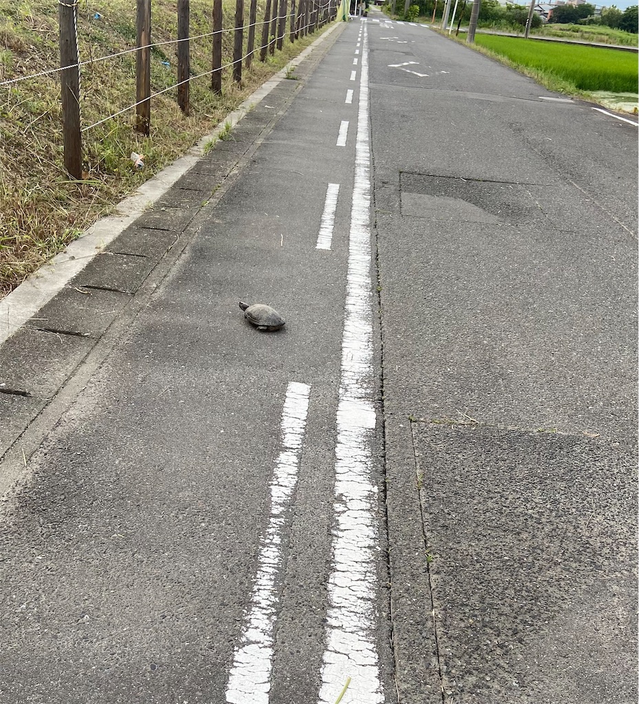 f:id:shizuku0815:20260714091626j:image f:id:shizuku0815:20260714091626j:image