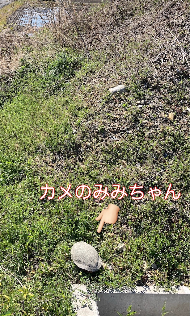 f:id:shizuku0815:20260714112553j:image f:id:shizuku0815:20260714112553j:image