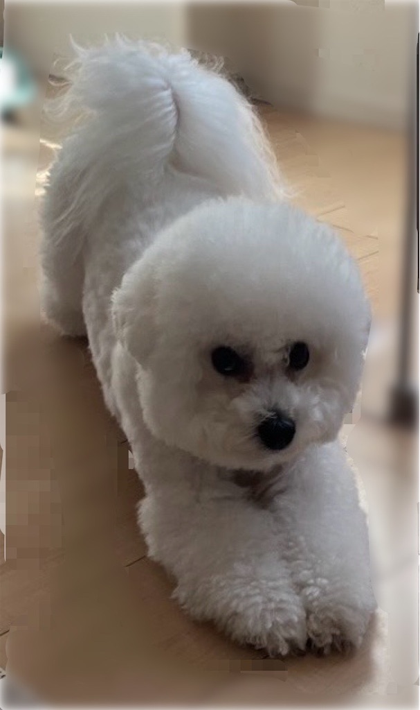 f:id:shizuku0815:20260720180708j:image f:id:shizuku0815:20260720180708j:image