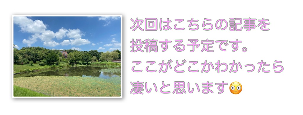f:id:shizuku0815:20260721210357j:image f:id:shizuku0815:20260721210357j:image