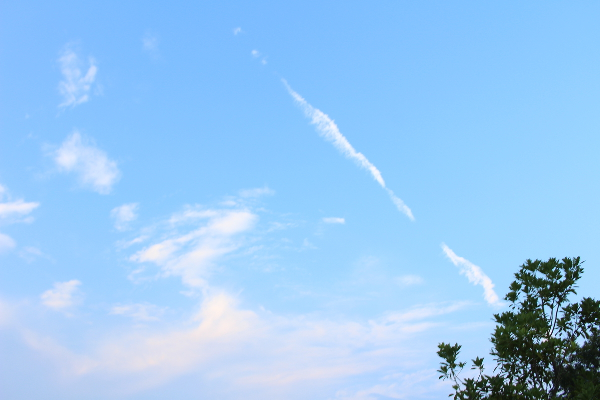 f:id:shizuku9:20190729150243j:plain f:id:shizuku9:20190729150243j:plain