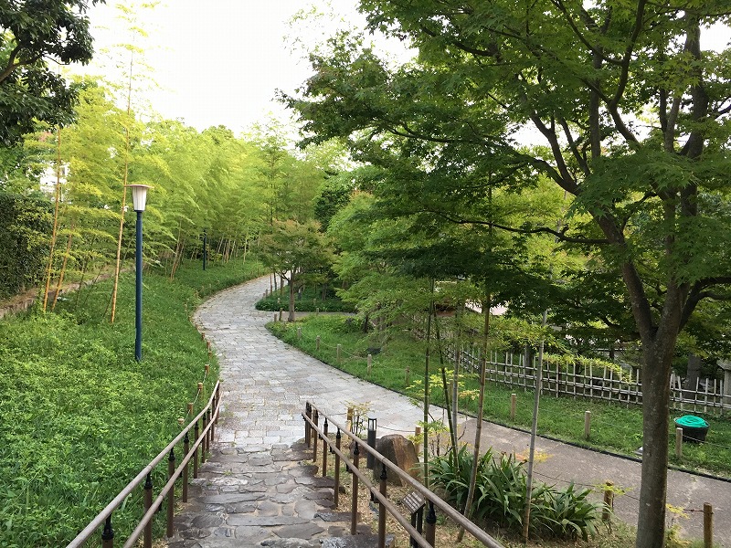 f:id:shizuku9:20190809102611j:plain f:id:shizuku9:20190809102611j:plain