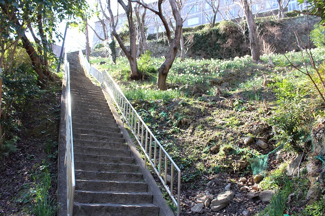 f:id:shizuku9:20200204133751j:plain f:id:shizuku9:20200204133751j:plain