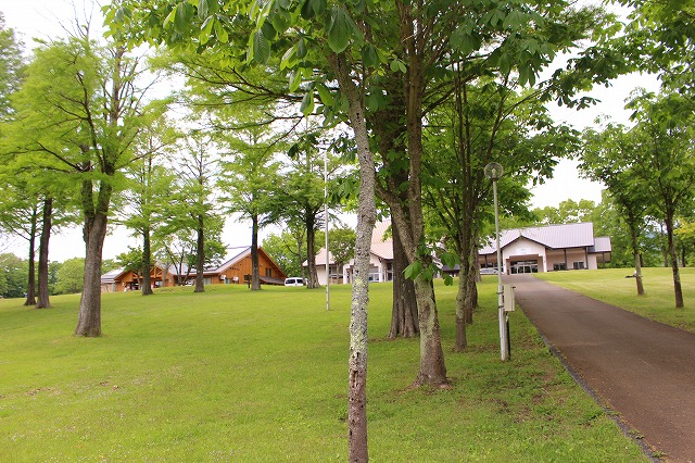f:id:shizuku9:20200601164351j:plain f:id:shizuku9:20200601164351j:plain