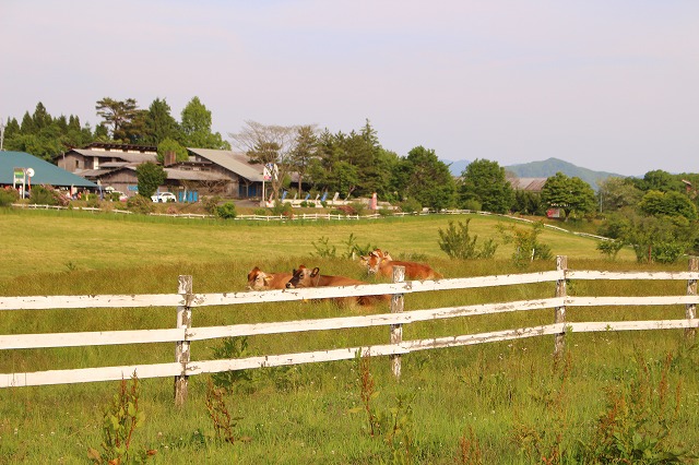 f:id:shizuku9:20200604135830j:plain f:id:shizuku9:20200604135830j:plain
